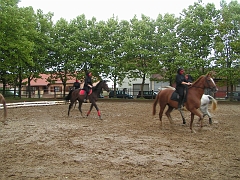 PO 2008 (47)